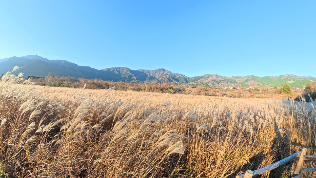  — изображение 4