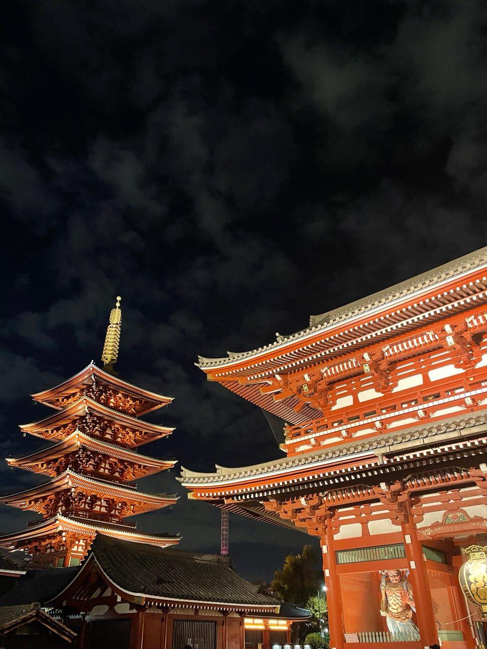  — изображение 7