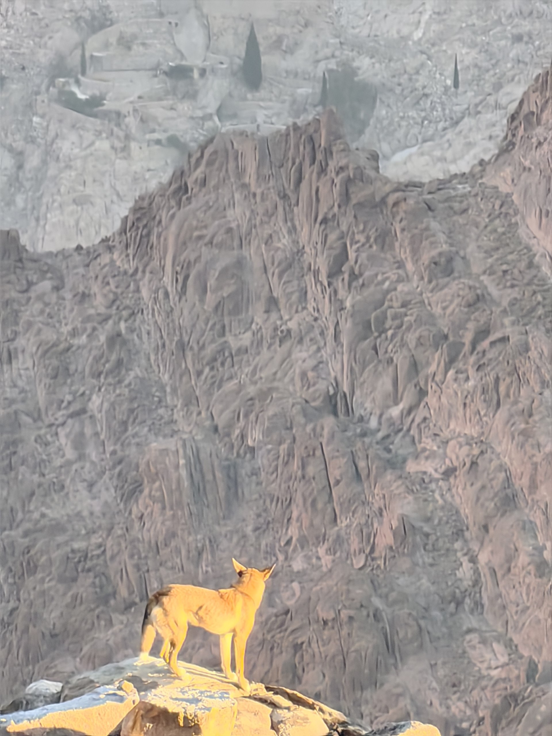  — изображение 9