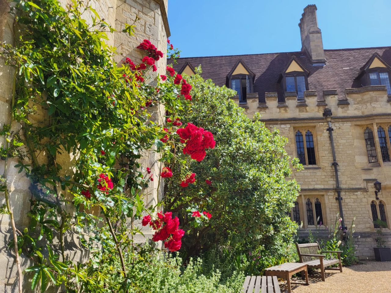 Про учёбу в Оксфорде — изображение 4