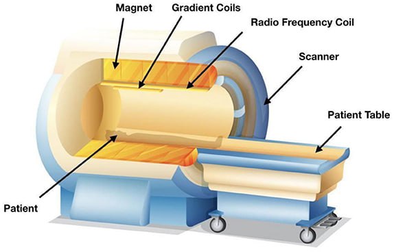 Способы измерять активность мозга: фМРТ